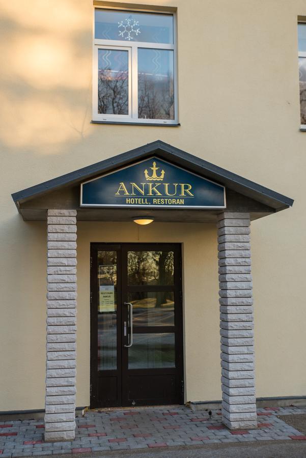 Ankur Hotel Mustvee